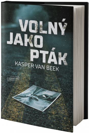 Obal knihy Volný jako pták