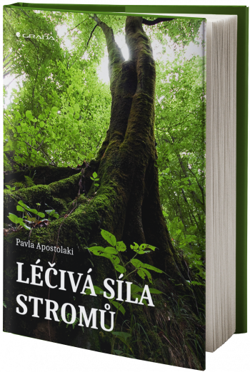 Obal knihy Léčivá síla stromů