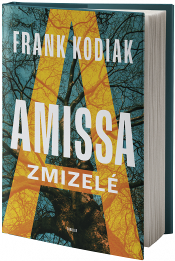 Obal knihy Amissa: Zmizelé